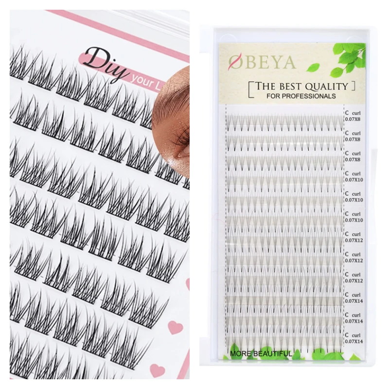 Cluster vs Individual Eyelash Extensions